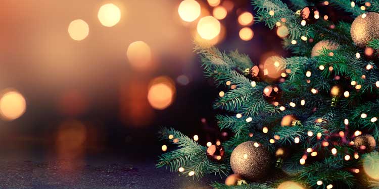 Saving Money for the Holiday Season