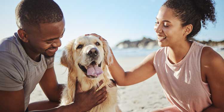 find various ways to save money on pet expenses without compromising their well-being