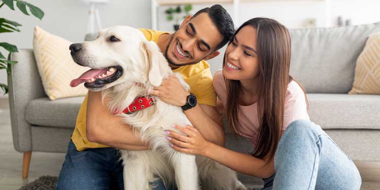 Beyond the health benefits, pets bring immeasurable joy and companionship. It’s important to give them the care they need.