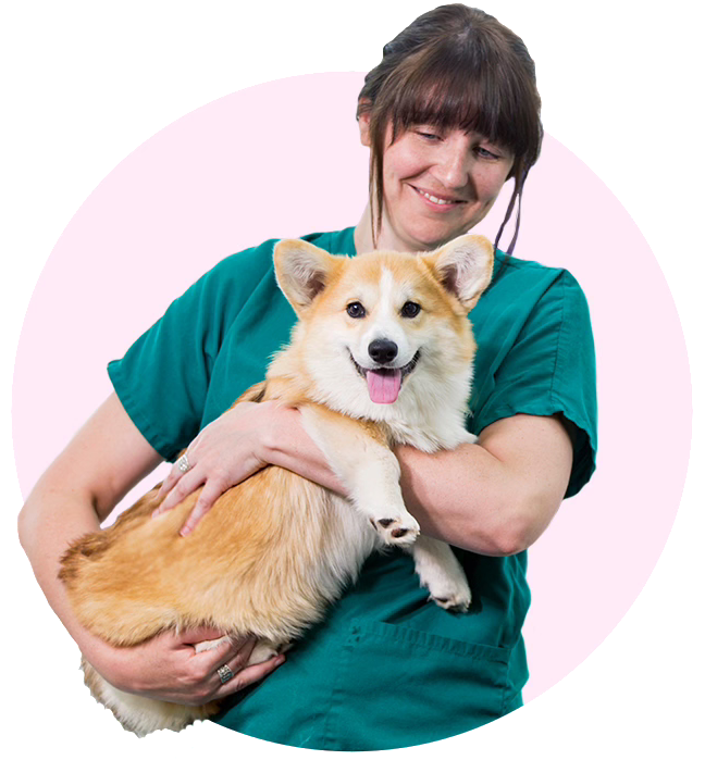 Uprova helps you act fast when your pet needs care because their comfort and recovery can't always wait.
